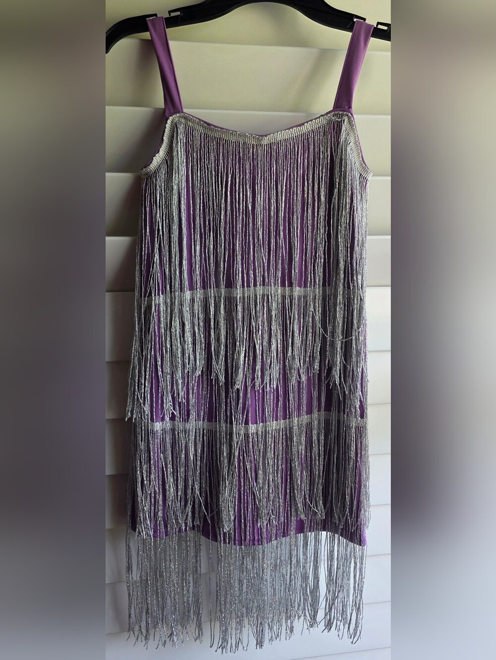 Girls Fringe Dress / Costume